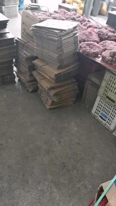 新鮮去皮濕核桃與商品房代購(gòu)代銷(xiāo) 一站式批發(fā)與服務(wù)解決方案
